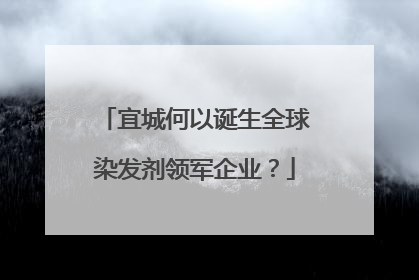 宜城何以诞生全球染发剂领军企业？