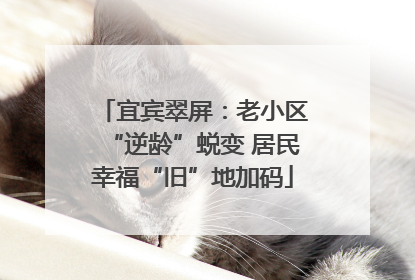 宜宾翠屏：老小区“逆龄”蜕变 居民幸福“旧”地加码