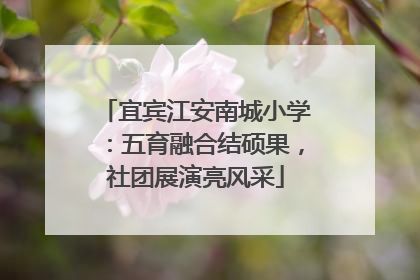 宜宾江安南城小学：五育融合结硕果，社团展演亮风采