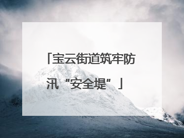 宝云街道筑牢防汛“安全堤”