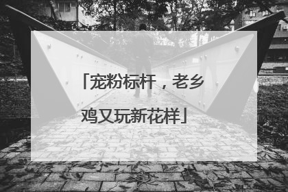 宠粉标杆，老乡鸡又玩新花样