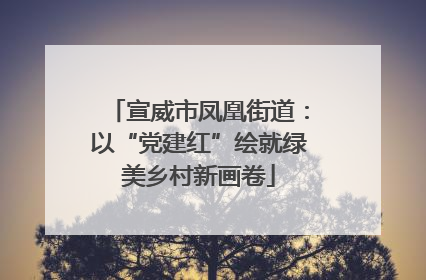 宣威市凤凰街道：以“党建红”绘就绿美乡村新画卷