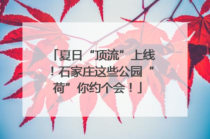 夏日“顶流”上线！石家庄这些公园“荷”你约个会！