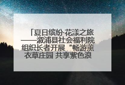 夏日缤纷·花漾之旅——溆浦县社会福利院组织长者开展“畅游薰衣草庄园 共享紫色浪漫”户外活动