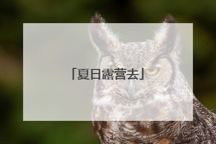 夏日露营去