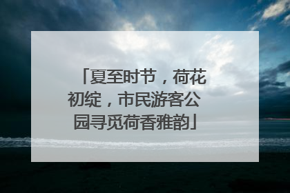 夏至时节，荷花初绽，市民游客公园寻觅荷香雅韵