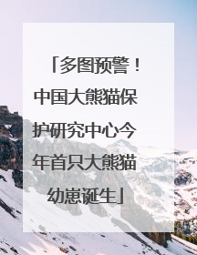 多图预警！中国大熊猫保护研究中心今年首只大熊猫幼崽诞生