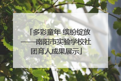 多彩童年 缤纷绽放——南阳市实验学校社团育人成果展示