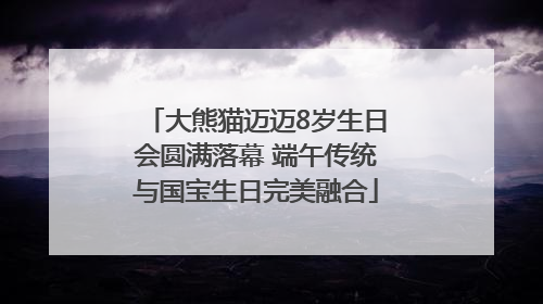 大熊猫迈迈8岁生日会圆满落幕 端午传统与国宝生日完美融合