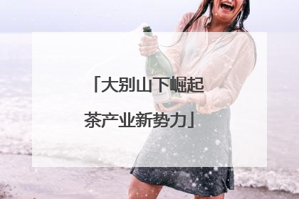 大别山下崛起茶产业新势力
