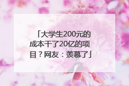 大学生200元的成本干了20亿的项目？网友：羡慕了