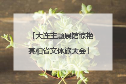 大连主题展馆惊艳亮相省文体旅大会