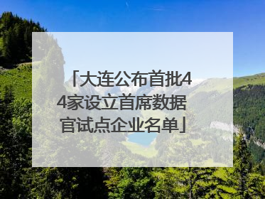 大连公布首批44家设立首席数据官试点企业名单
