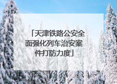 天津铁路公安全面强化列车治安案件打防力度