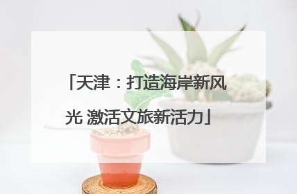 天津：打造海岸新风光 激活文旅新活力
