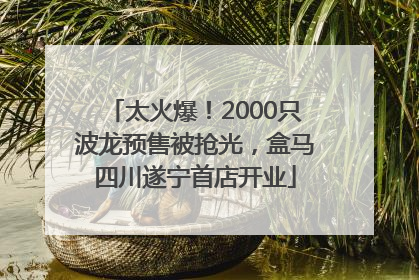 太火爆！2000只波龙预售被抢光，盒马四川遂宁首店开业