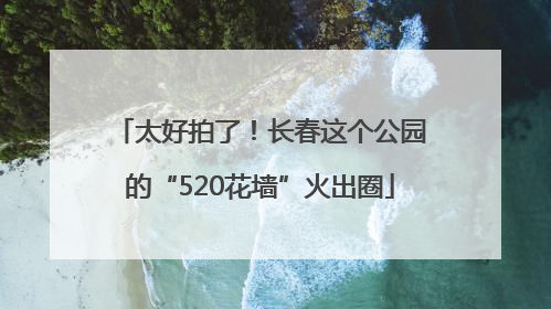 太好拍了！长春这个公园的“520花墙”火出圈