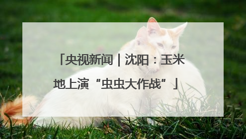 央视新闻｜沈阳：玉米地上演“虫虫大作战”