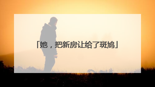 她，把新房让给了斑鸠