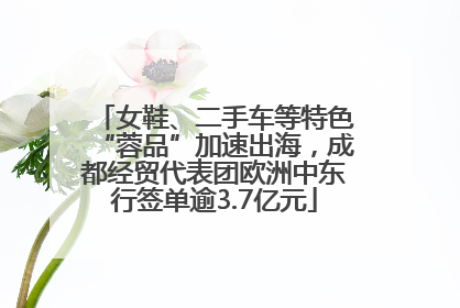 女鞋、二手车等特色“蓉品”加速出海，成都经贸代表团欧洲中东行签单逾3.7亿元