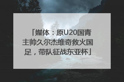 媒体：原U20国青主帅久尔杰维奇救火国足，带队征战东亚杯