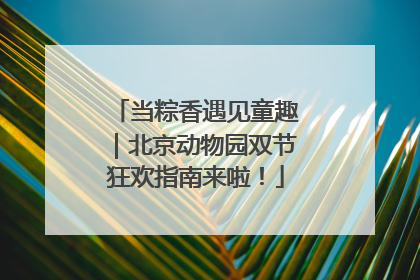 当粽香遇见童趣｜北京动物园双节狂欢指南来啦！