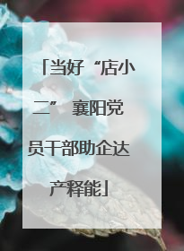 当好“店小二” 襄阳党员干部助企达产释能