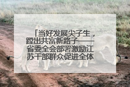 当好发展尖子生，蹚出共富新路子——省委全会部署激励江苏干部群众促进全体人民共同富裕