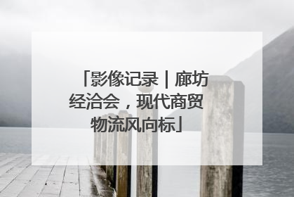 影像记录｜廊坊经洽会，现代商贸物流风向标
