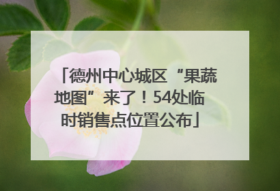 德州中心城区“果蔬地图”来了！54处临时销售点位置公布