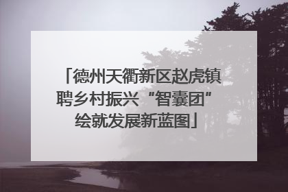 德州天衢新区赵虎镇聘乡村振兴“智囊团” 绘就发展新蓝图
