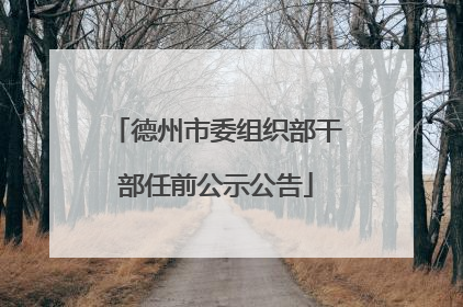 德州市委组织部干部任前公示公告