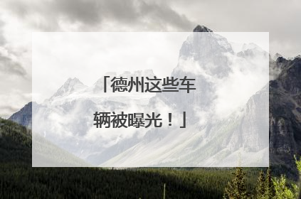 德州这些车辆被曝光！