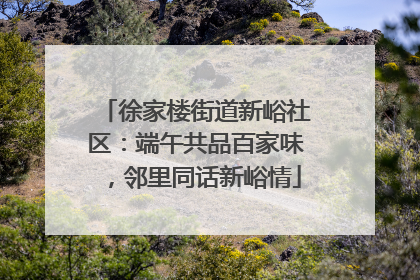 徐家楼街道新峪社区：端午共品百家味，邻里同话新峪情