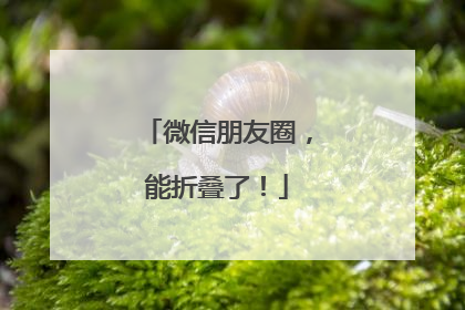 微信朋友圈，能折叠了！