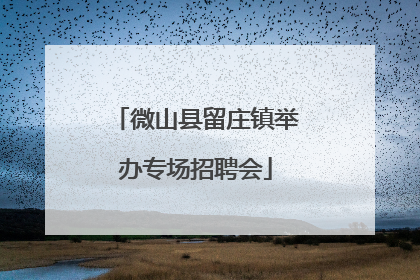 微山县留庄镇举办专场招聘会