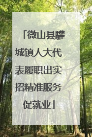 微山县驩城镇人大代表履职出实招精准服务促就业