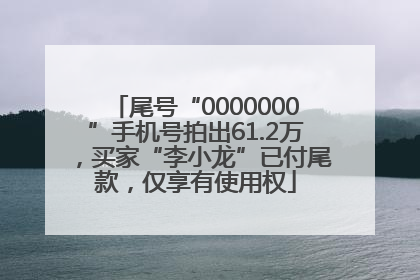 尾号“0000000”手机号拍出61.2万，买家“李小龙”已付尾款，仅享有使用权