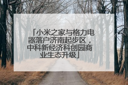 小米之家与格力电器落户济南起步区，中科新经济科创园商业生态升级