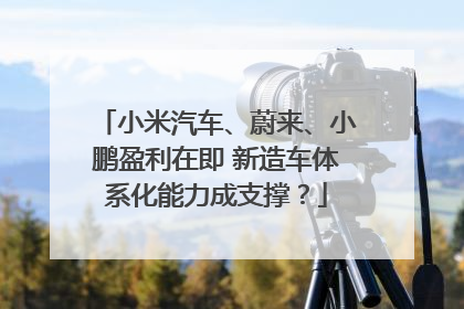 小米汽车、蔚来、小鹏盈利在即 新造车体系化能力成支撑？
