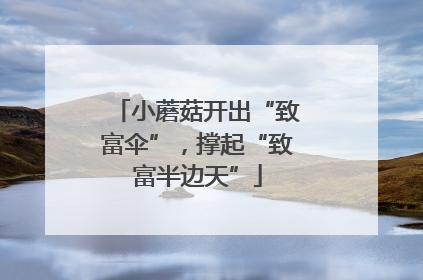 小蘑菇开出“致富伞”，撑起“致富半边天”