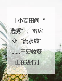 小麦田间“选秀”、蚕房变“流水线”……三夏收获正在进行