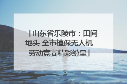 山东省乐陵市：田间地头 全市植保无人机劳动竞赛精彩纷呈