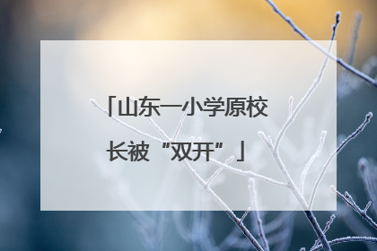 山东一小学原校长被“双开”