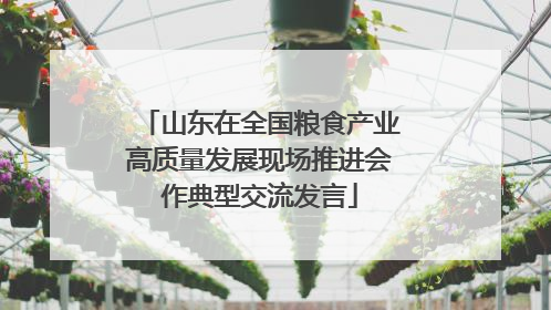 山东在全国粮食产业高质量发展现场推进会作典型交流发言