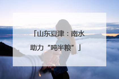 山东夏津：南水助力“吨半粮”