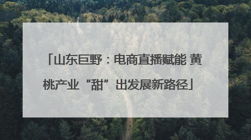山东巨野：电商直播赋能 黄桃产业“甜”出发展新路径