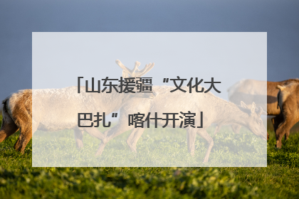 山东援疆“文化大巴扎”喀什开演
