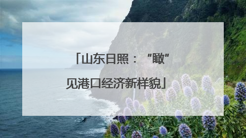 山东日照：“瞰”见港口经济新样貌