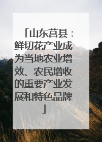 山东莒县：鲜切花产业成为当地农业增效、农民增收的重要产业发展和特色品牌